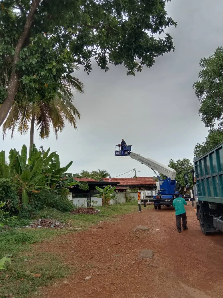 MBK potong pokok 5
